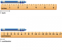 centimeter stick
