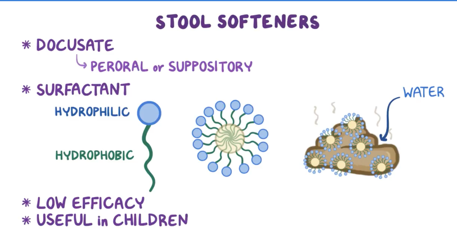 Lipids In Stool - Stools