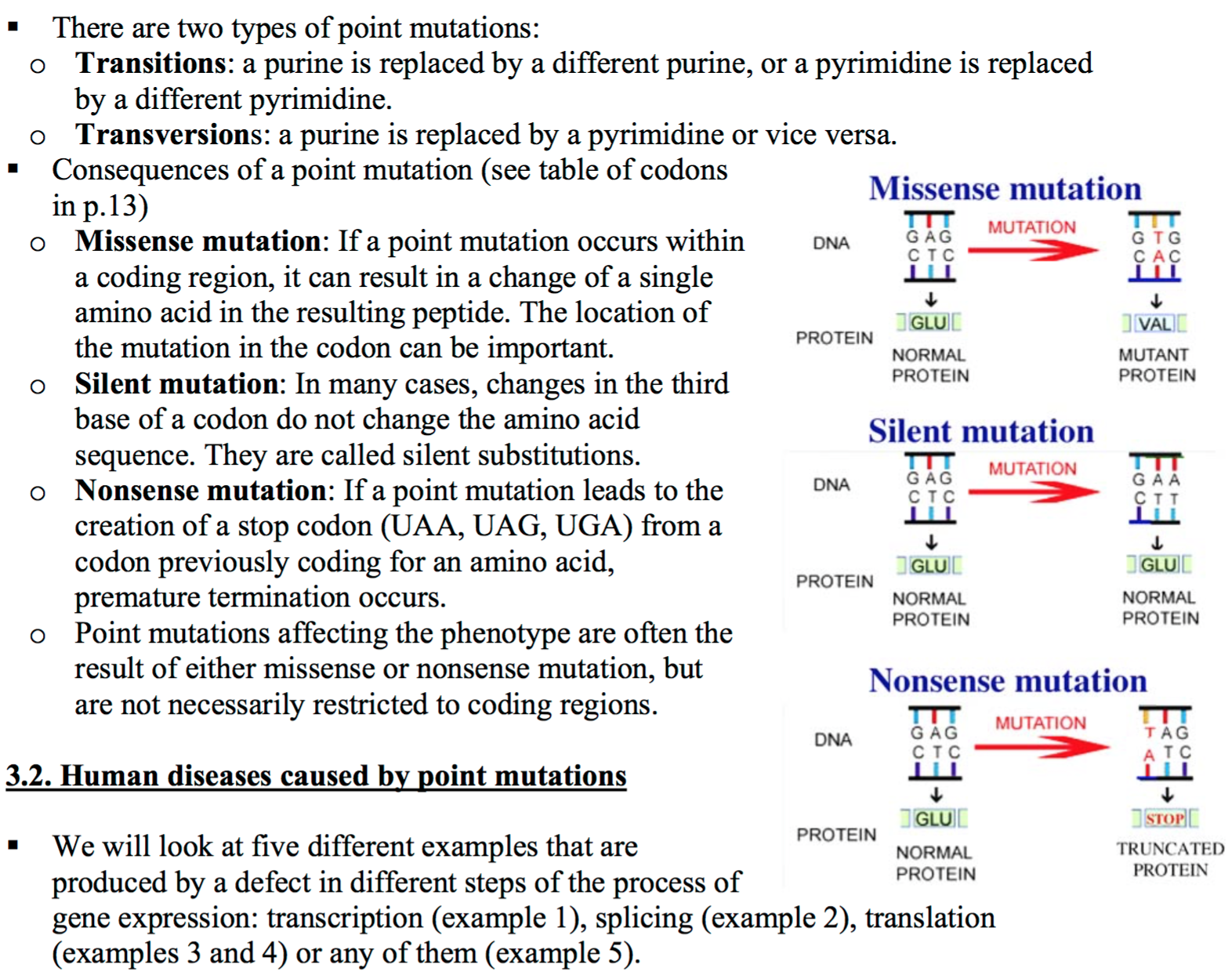 types-of-mutations-worksheet