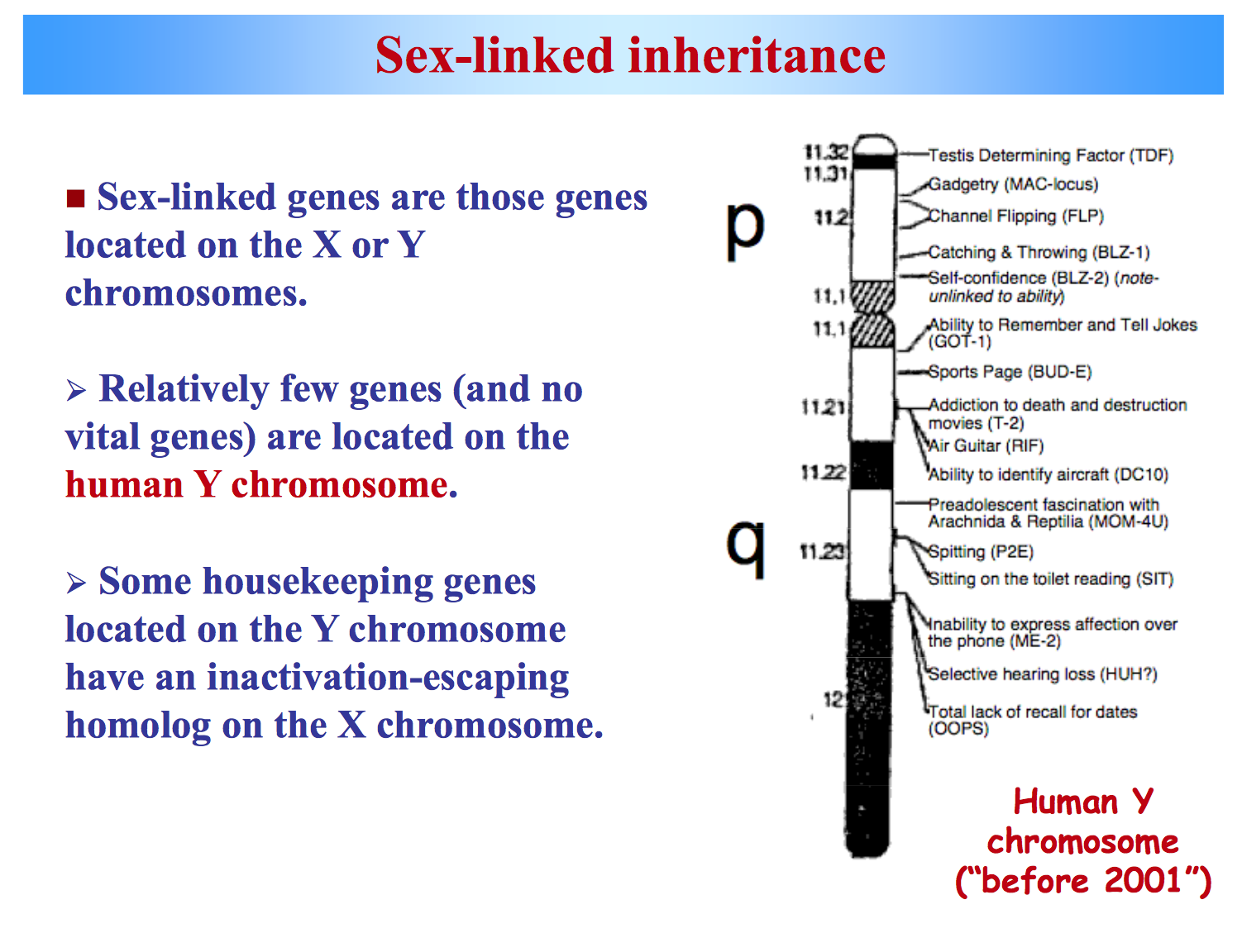 List Of Sex Linked Genetic Disorder 7386