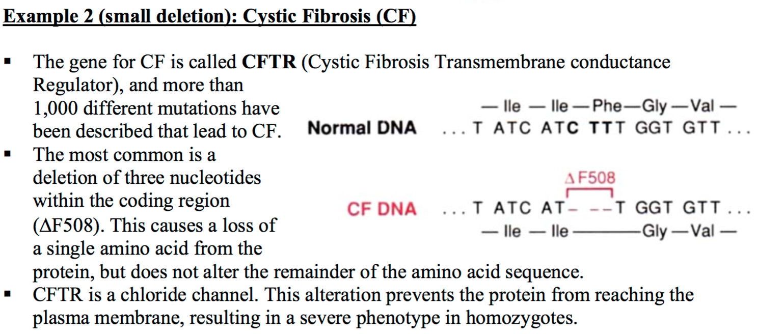 What is fibrosis?