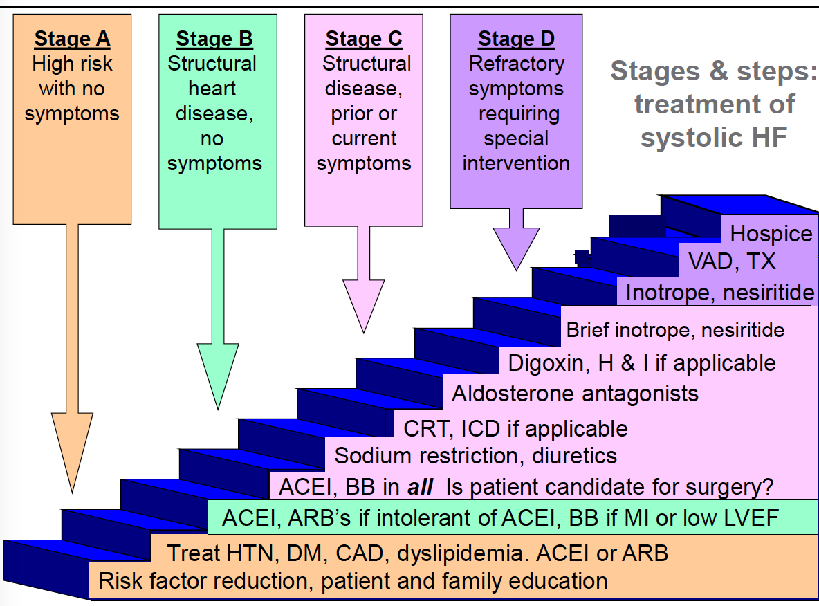 the-4-stages-of-heart-failure-1st-edition-ebook-in-2021-stages-of
