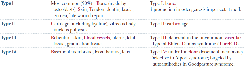 Serotonin Syndrome Symptoms Mnemonic