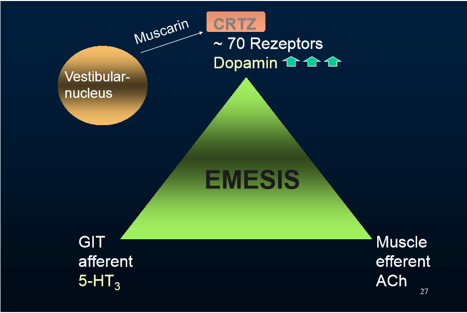 Serotonin Function In Git