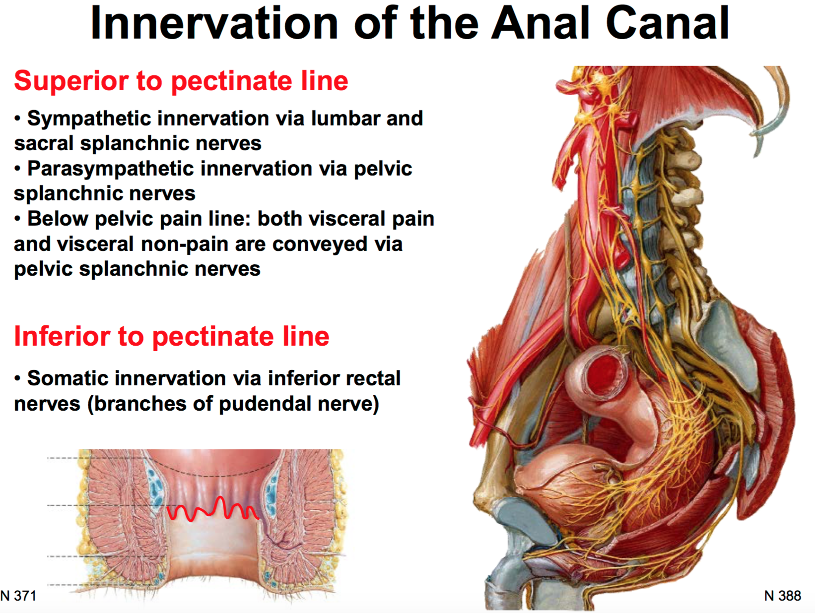 Pain pressure in anus