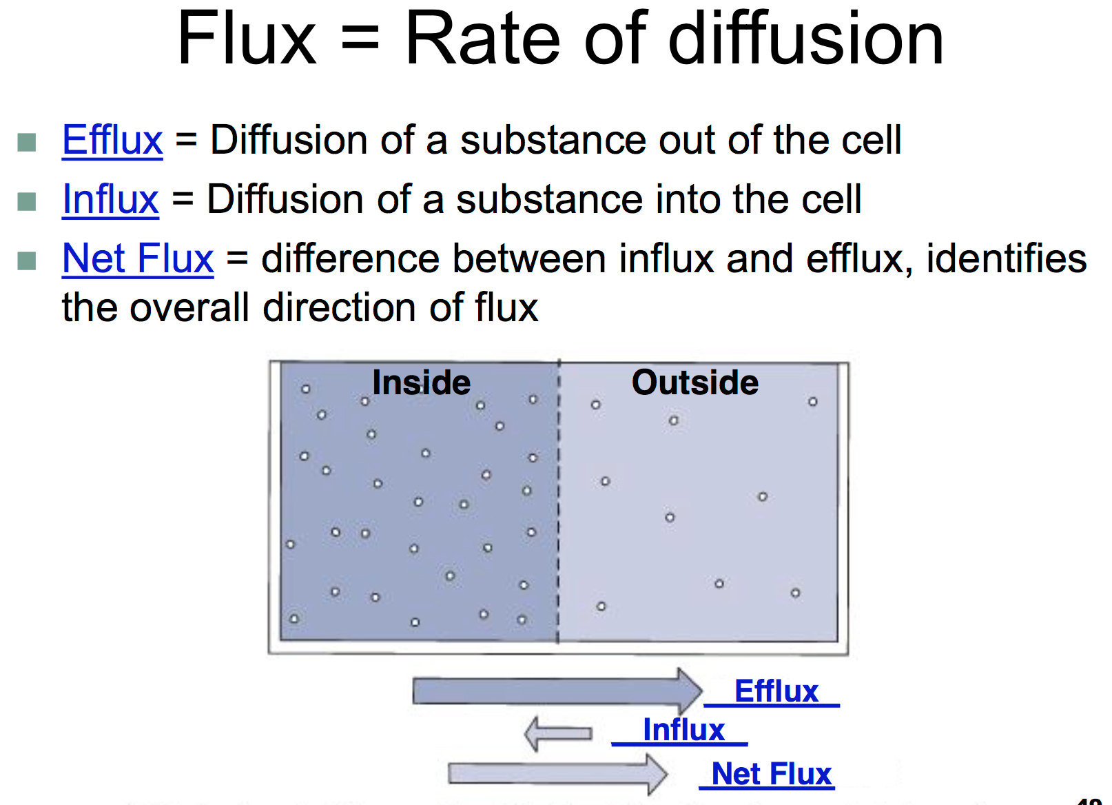 Influx and efflux of ions
