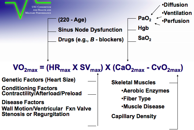 Msk Final Exercise And Nutrition Exercise Protein Rhabdo Msk